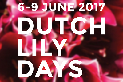 Lễ hội hoa ly lần thứ 7 sắp diễn ra tại Hà Lan